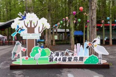 富士instax教育助力上海爱鸟周，共绘生态教育新画卷